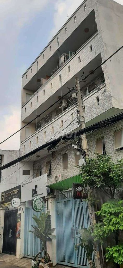 4288583 ảnh đại diện 1