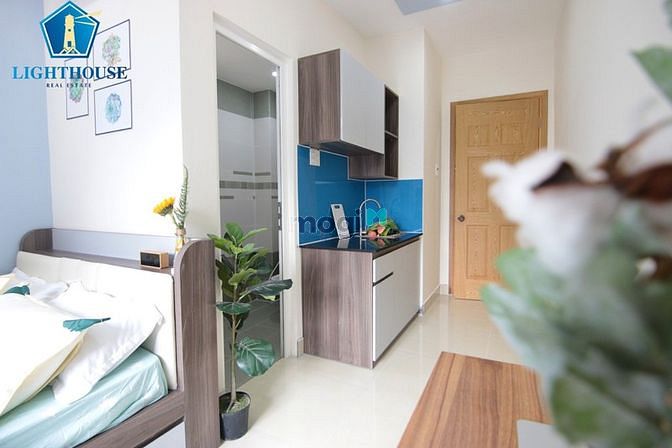 4288484 ảnh đại diện 2
