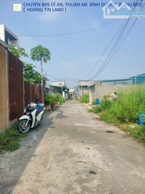 4289702 ảnh đại diện 2