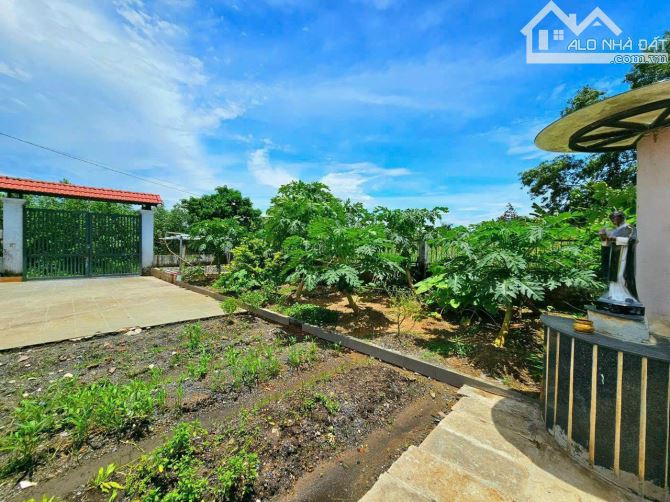 4289707 ảnh đại diện 2