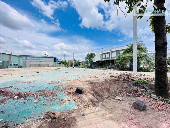 4289706 ảnh đại diện 1