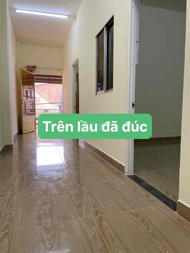 4290205 ảnh đại diện 1