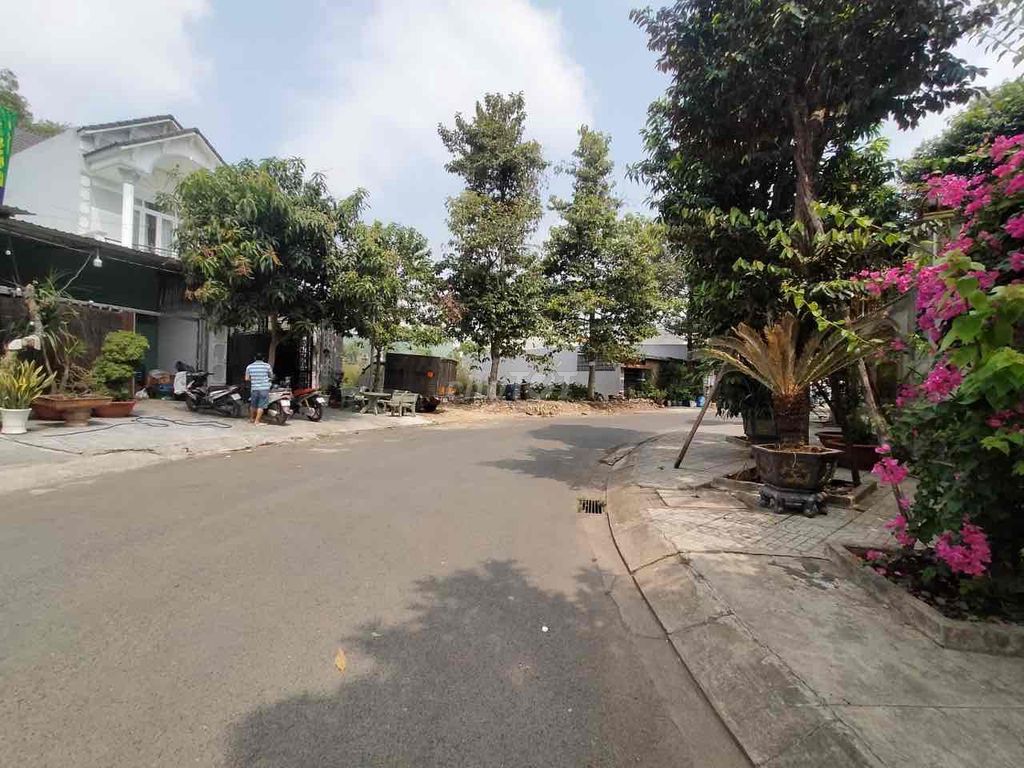 4289708 ảnh đại diện 1