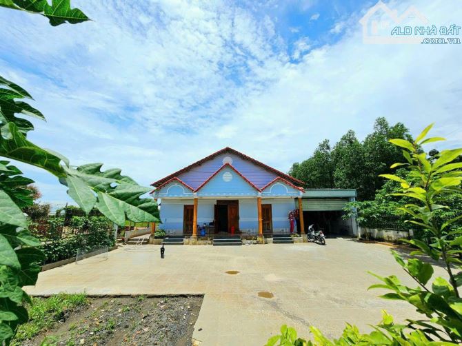 4289707 ảnh đại diện 1