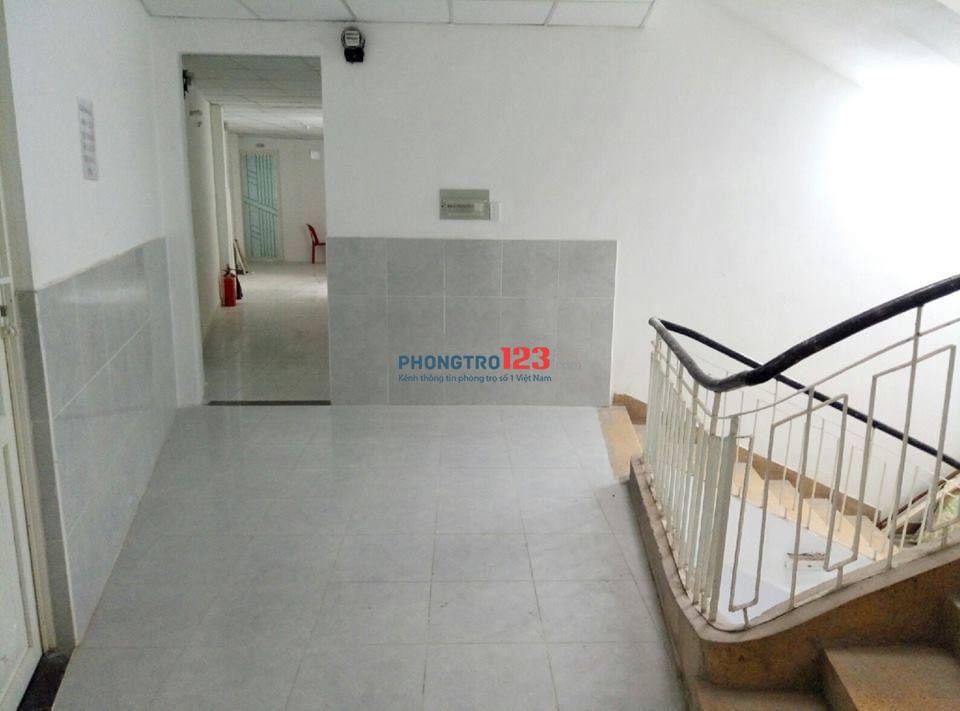 4288311 ảnh đại diện 2