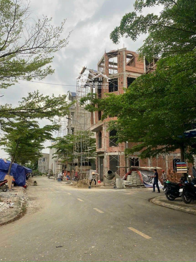 4289373 ảnh đại diện 1