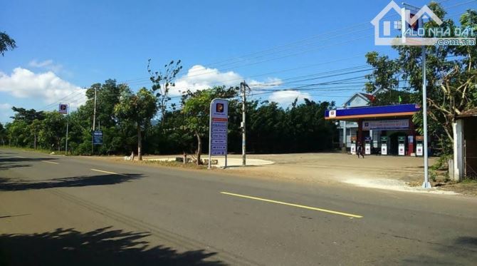 4288539 ảnh đại diện 1