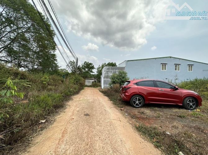4289495 ảnh đại diện 1
