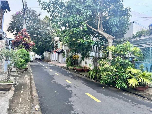 4288832 ảnh đại diện 1