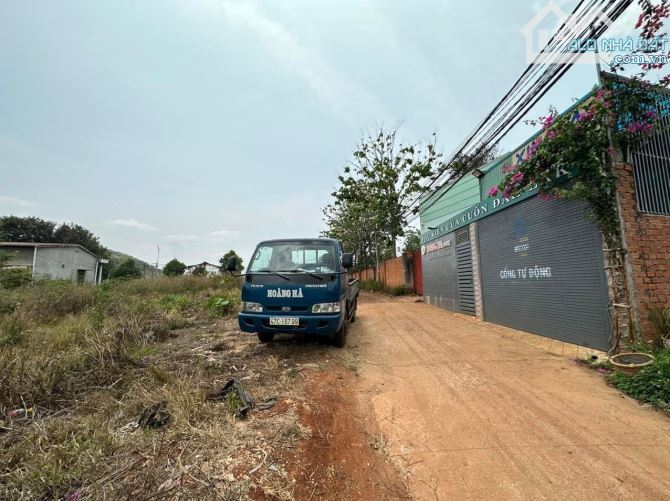 4289495 ảnh đại diện 1