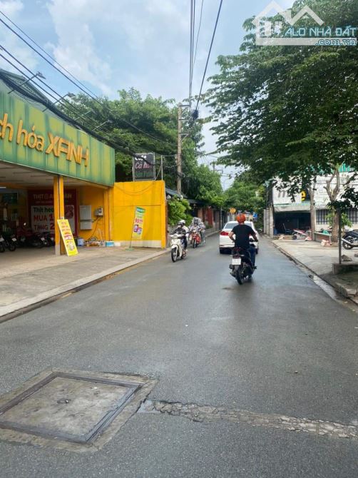 4289504 ảnh đại diện 2