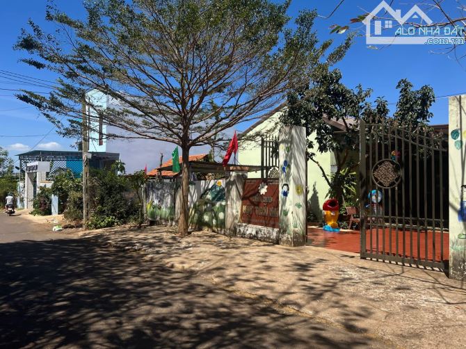 4290071 ảnh đại diện 2