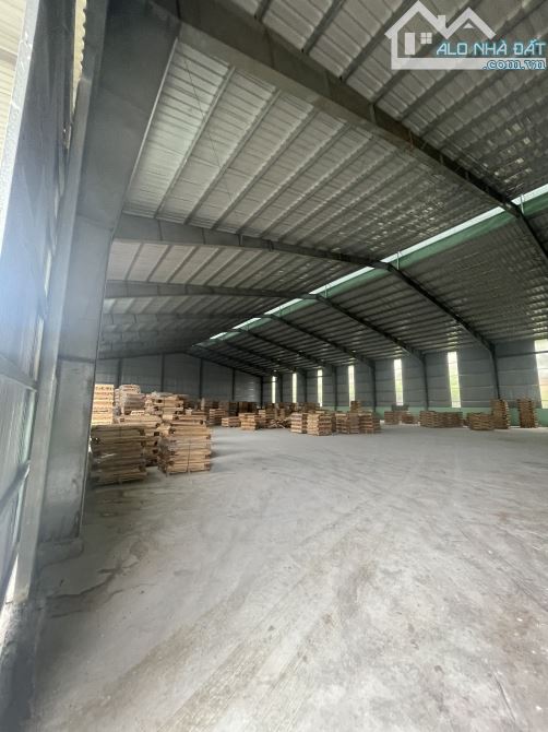 4289712 ảnh đại diện 2