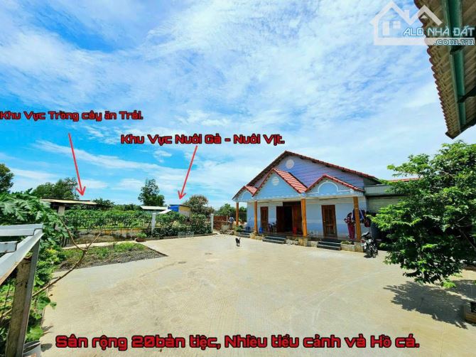 4289707 ảnh đại diện 1