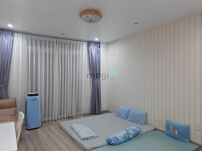 4288737 ảnh đại diện 2