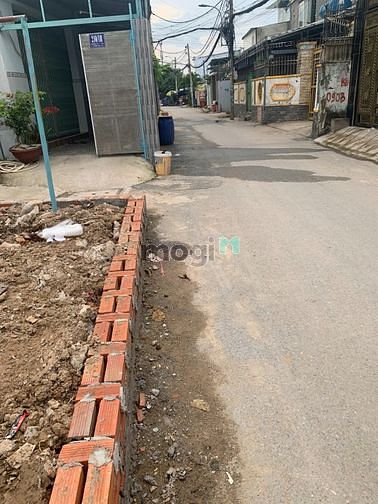 4289281 ảnh đại diện 1