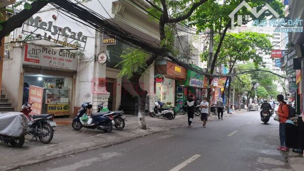 4289313 ảnh đại diện 1