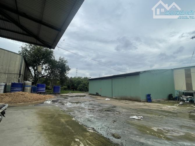 4289712 ảnh đại diện 1