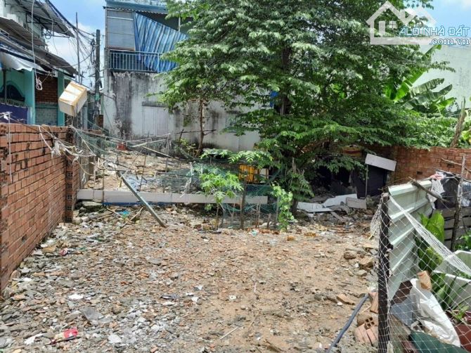 4289602 ảnh đại diện 1