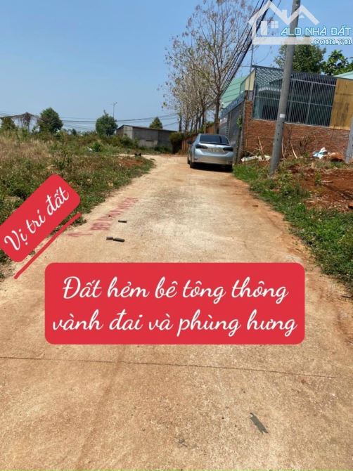 4289493 ảnh đại diện 1