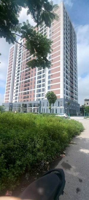 4288785 ảnh đại diện 1