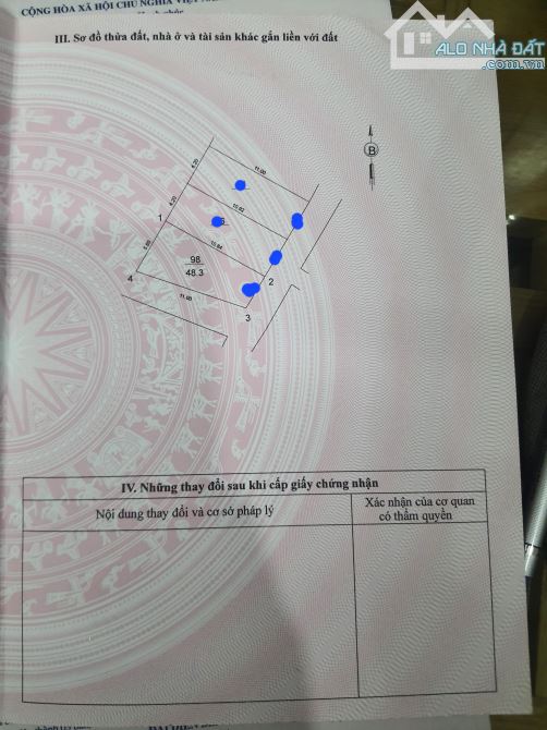 4288862 ảnh đại diện 1