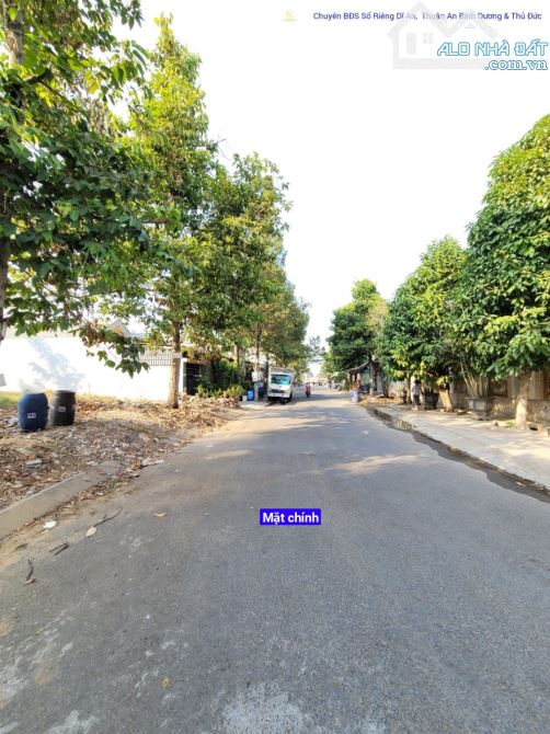 4289693 ảnh đại diện 1