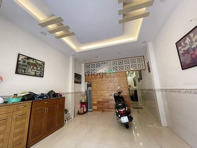 4288542 ảnh đại diện 1