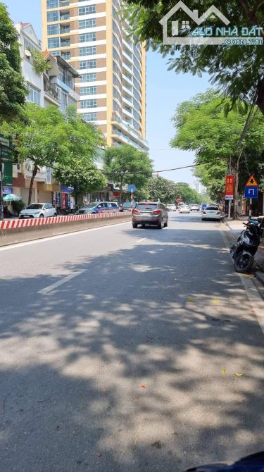 4289894 ảnh đại diện 1