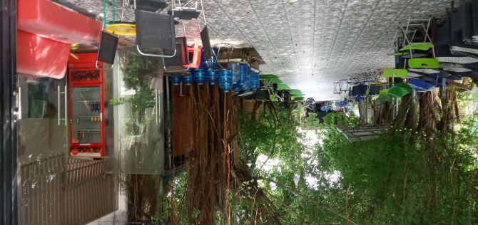 4289710 ảnh đại diện 1