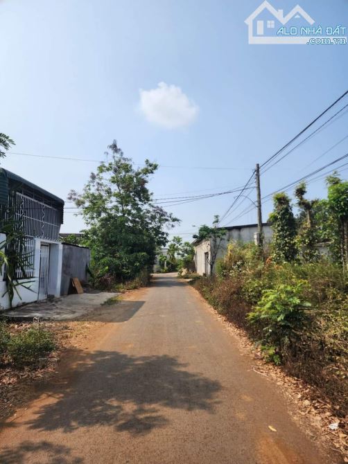 4290071 ảnh đại diện 1