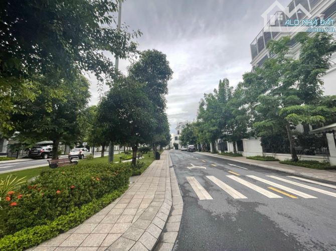 4289967 ảnh đại diện 1