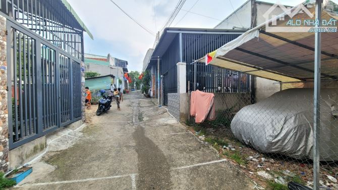 4288254 ảnh đại diện 1
