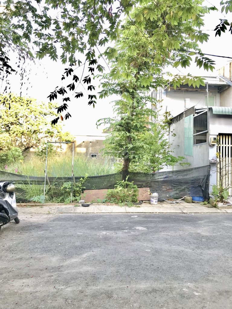 4291499 ảnh đại diện 1