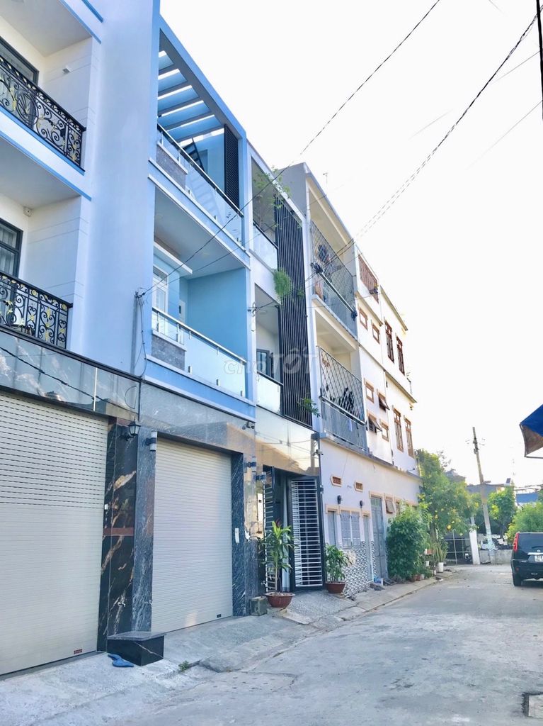 4291499 ảnh đại diện 1