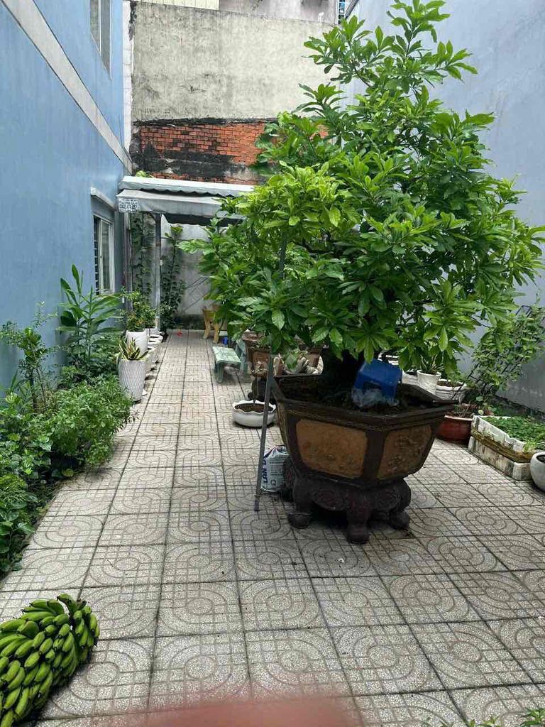 4292006 ảnh đại diện 2
