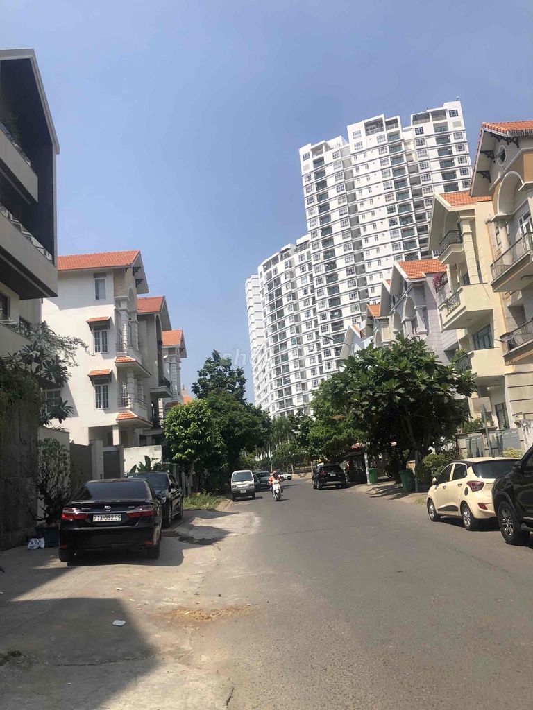 4292088 ảnh đại diện 2