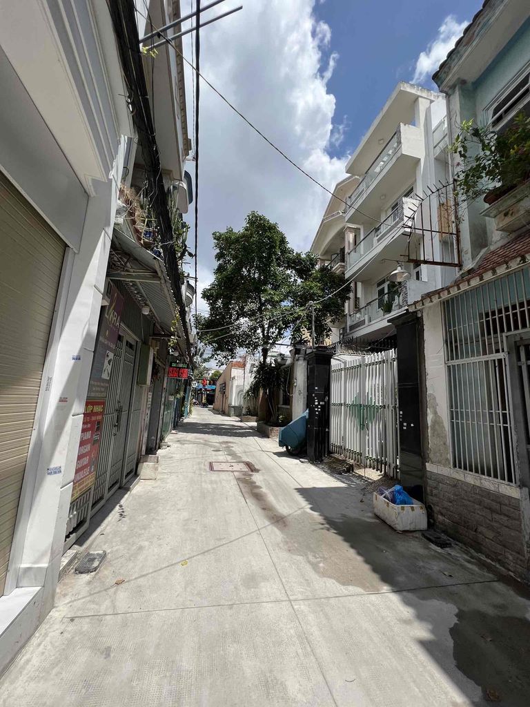 4293987 ảnh đại diện 2