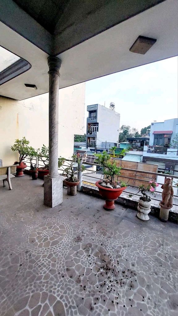 4293573 ảnh đại diện 1
