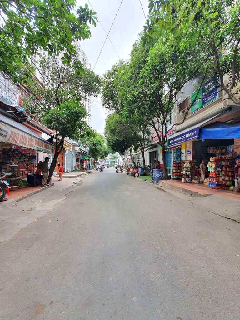 4295793 ảnh đại diện 2