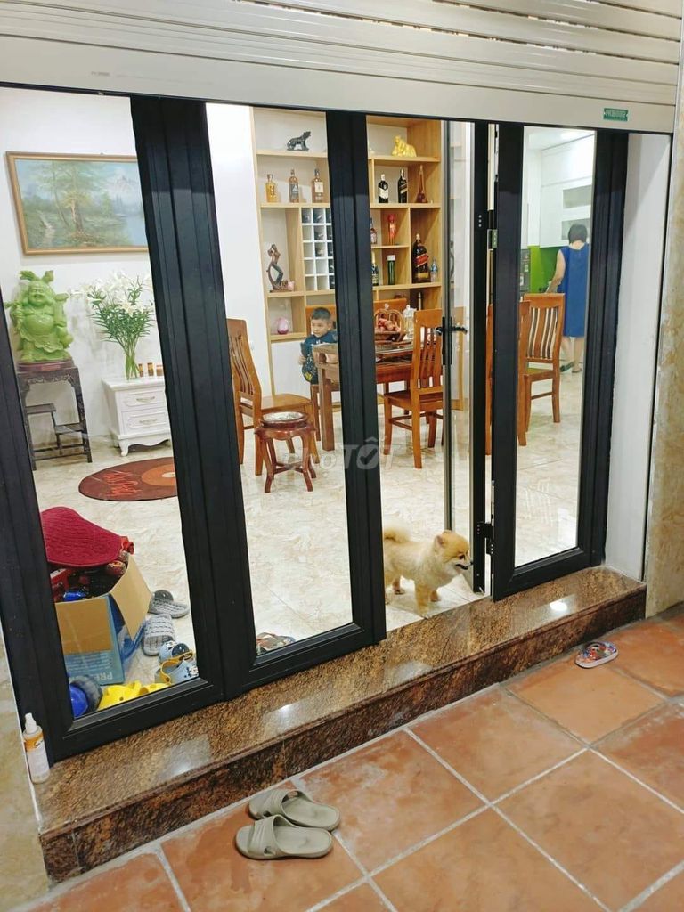 4295678 ảnh đại diện 1
