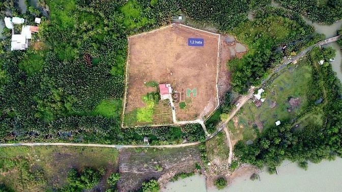 4297985 ảnh đại diện 2