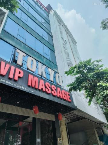 4297376 ảnh đại diện 1