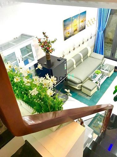 4298265 ảnh đại diện 1