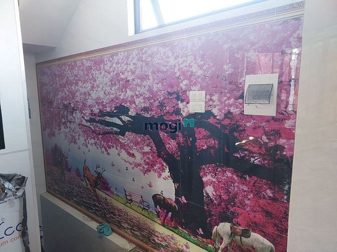 4297242 ảnh đại diện 2
