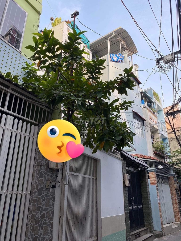 4298379 ảnh đại diện 1