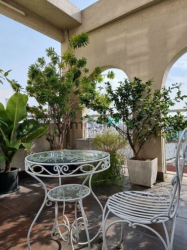 4297804 ảnh đại diện 1