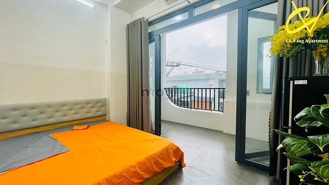 4297219 ảnh đại diện 2