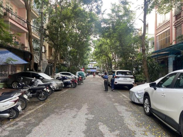 4297431 ảnh đại diện 1