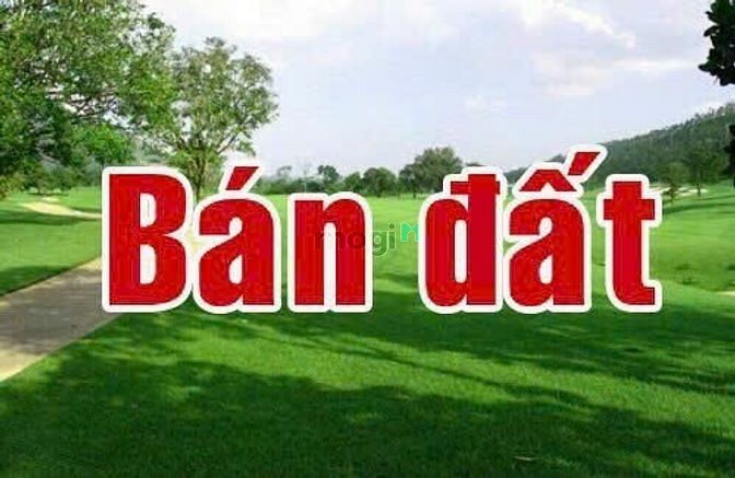 4297986 ảnh đại diện 1
